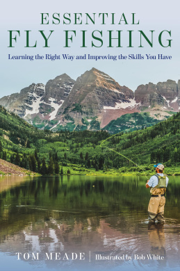 https://scientificbooks.net/sb/DeKcewNFdNhpgRgBXW.jpeg