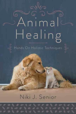https://scientificbooks.net/sb/Dpu3oF47dX6kFFQgRx.jpeg