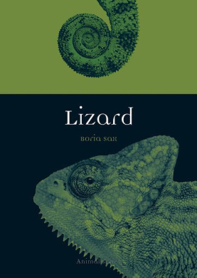 https://scientificbooks.net/sb/DtCYDVEjkXzLQHFg9S.jpeg
