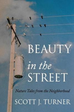 https://scientificbooks.net/sb/E1QS994CT0MlhgBf2a.jpeg