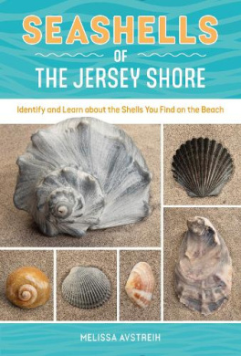 https://scientificbooks.net/sb/E4lm50MFNErHtXkrY4.jpeg