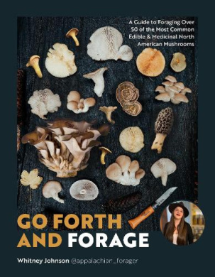 https://scientificbooks.net/sb/EBoQ0ReBiJXf0gWKt4.jpeg
