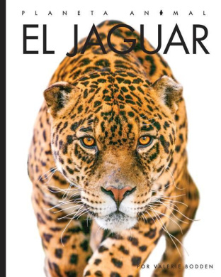 https://scientificbooks.net/sb/EL5C6C5fk5uVR2GJNt.jpeg