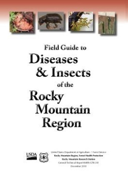 https://scientificbooks.net/sb/ESW5rfcau5mB0fkzVZ.jpeg