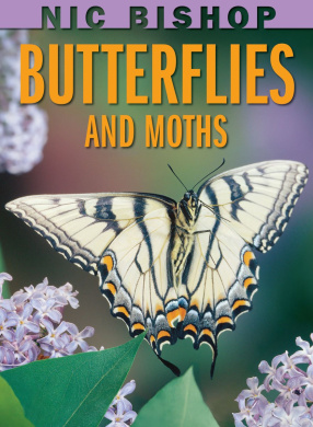 https://scientificbooks.net/sb/EWXYGQsVVTfbk21vL6.jpeg