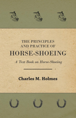 https://scientificbooks.net/sb/EY0D3l1Lx3NJv2mdio.jpeg