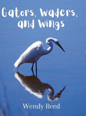 https://scientificbooks.net/sb/Eg6pR3CCdUCTshBgIR.jpeg