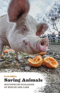 https://scientificbooks.net/sb/F3S1feG46PZcxBw8jT.jpeg