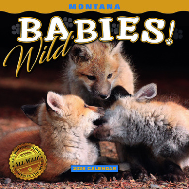 https://scientificbooks.net/sb/F9UDqsPwzBBkLauHW2.jpeg