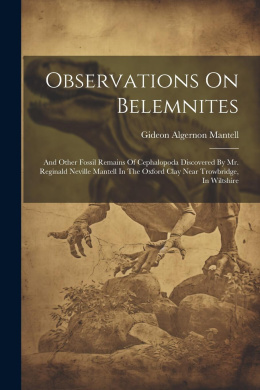 https://scientificbooks.net/sb/FB9zpTGW4XKpAxh78s.jpeg