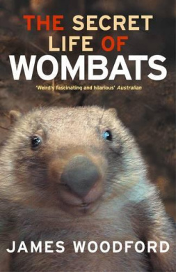 https://scientificbooks.net/sb/FCweySR9ZeDYG1KLVp.jpeg