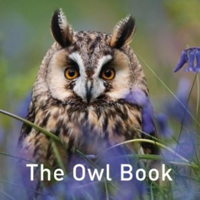 https://scientificbooks.net/sb/FGEwIFFtKlBet2jJxq.jpeg