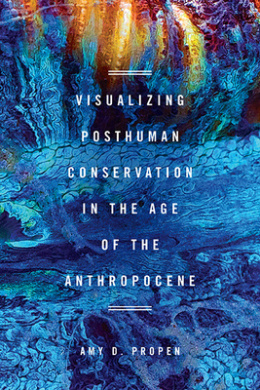 https://scientificbooks.net/sb/FJNtFopCMRmEFVjy98.jpeg