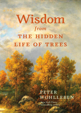 https://scientificbooks.net/sb/FQORnKxLJV4lt7Hb5b.jpeg