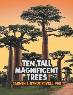 https://scientificbooks.net/sb/FabRNRW85GQIBVVhu0.jpeg