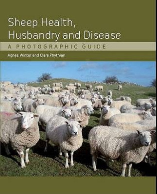 https://scientificbooks.net/sb/FayyTyhRDHJJDI8ihv.jpeg