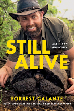 https://scientificbooks.net/sb/Fhiao1Cw6ByOamz0FG.jpeg