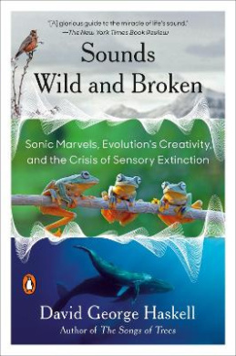https://scientificbooks.net/sb/FiYMdSSgQIsT6pC4fd.jpeg