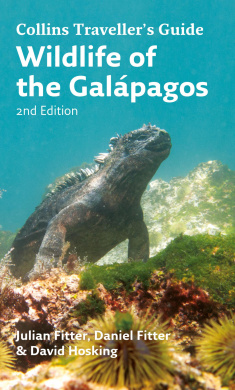 https://scientificbooks.net/sb/FjoBilRQKDbJ1lMPAd.jpeg