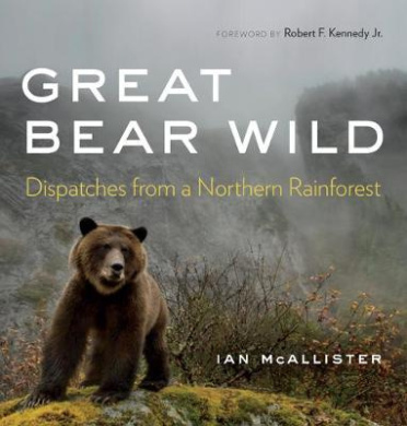 https://scientificbooks.net/sb/Fmq34KDge6SZzzmiTD.jpeg