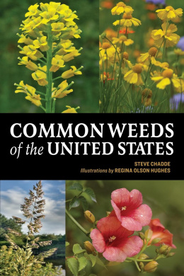 https://scientificbooks.net/sb/FtwkGQ8Qh26LUoCof9.jpeg