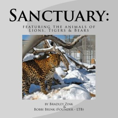 https://scientificbooks.net/sb/FwKxmUHbGV1yOydYEP.jpeg