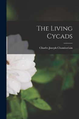 https://scientificbooks.net/sb/G7BBgKLCO7sBSYbt39.jpeg