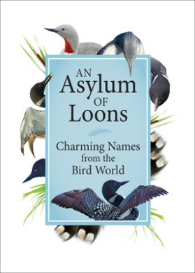 https://scientificbooks.net/sb/GCctSDBHVZn8Ylz09w.jpeg
