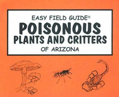 https://scientificbooks.net/sb/GDeNMAcWfSegd5ZUD8.jpeg