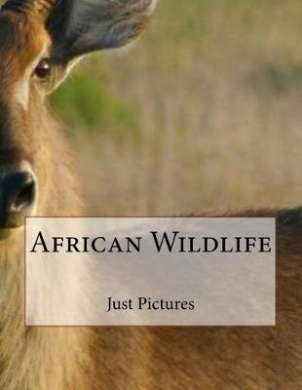 https://scientificbooks.net/sb/GDqIjiPBA2KkscvbfA.jpeg