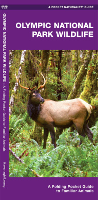 https://scientificbooks.net/sb/GDwO9DmfcLlhTfaTAN.jpeg