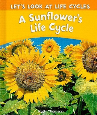 https://scientificbooks.net/sb/GFXvr9RXG6rEFfFvgj.jpeg