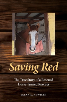 https://scientificbooks.net/sb/GIATt3712EHEF8WjHq.jpeg