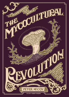 https://scientificbooks.net/sb/GIaDJPbIl5yZqaleAo.jpeg