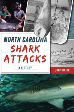 https://scientificbooks.net/sb/GJ0k70qjSMU9ejAJgl.jpeg