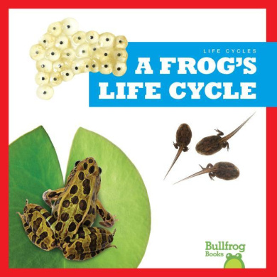 https://scientificbooks.net/sb/GMlregrCOelvpPll7f.jpeg