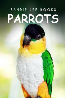 https://scientificbooks.net/sb/GTxc6swPR4wq1czGjP.jpeg