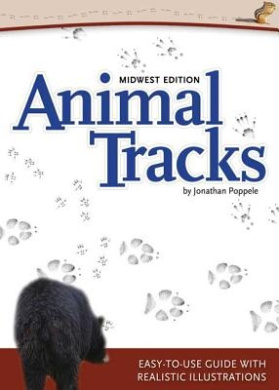 https://scientificbooks.net/sb/GadkYyVARqi49XNj09.jpeg