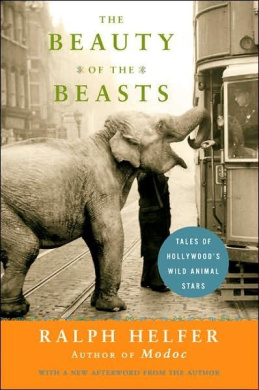 https://scientificbooks.net/sb/Gb6JElapdSwab3FOLq.jpeg