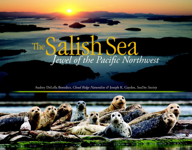 https://scientificbooks.net/sb/GjYgByYTy3vYVsUWen.jpeg