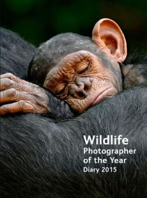 https://scientificbooks.net/sb/Gjs54eL9ZXH0ElRGbc.jpeg