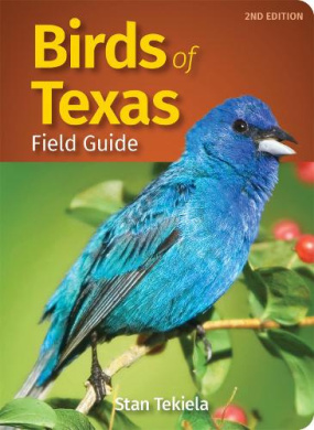 https://scientificbooks.net/sb/Golol7iH2UlQWbg7Oj.jpeg