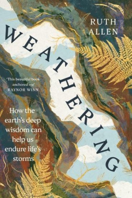 https://scientificbooks.net/sb/Gv7Y89ZnMjOoGfjxKG.jpeg
