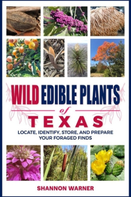 https://scientificbooks.net/sb/H7aPlE3UvVHTOo0Xrs.jpeg