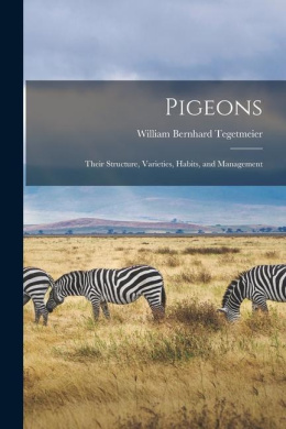 https://scientificbooks.net/sb/HBmT6iggUGyP5OhTID.jpeg
