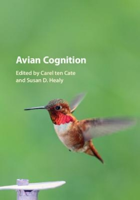 https://scientificbooks.net/sb/HIkkktcRVAmvmw9Xv3.jpeg