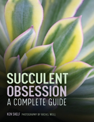 https://scientificbooks.net/sb/HJWtNyKtrucAUv6BLS.jpeg