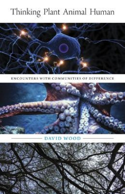 https://scientificbooks.net/sb/HUwLwhN5of0KASN5D1.jpeg