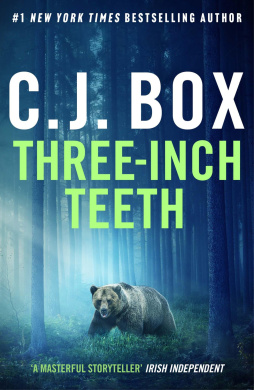 https://scientificbooks.net/sb/HWGoXtkqG5DaWtVVCR.jpeg