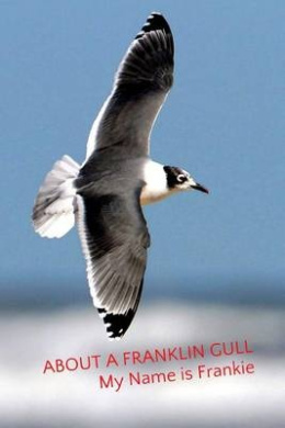 https://scientificbooks.net/sb/Hg6A1u0PN6HBtjTaWm.jpeg